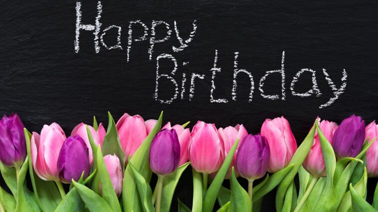 Die schönsten Geburtstagsbilder zum Gratulieren